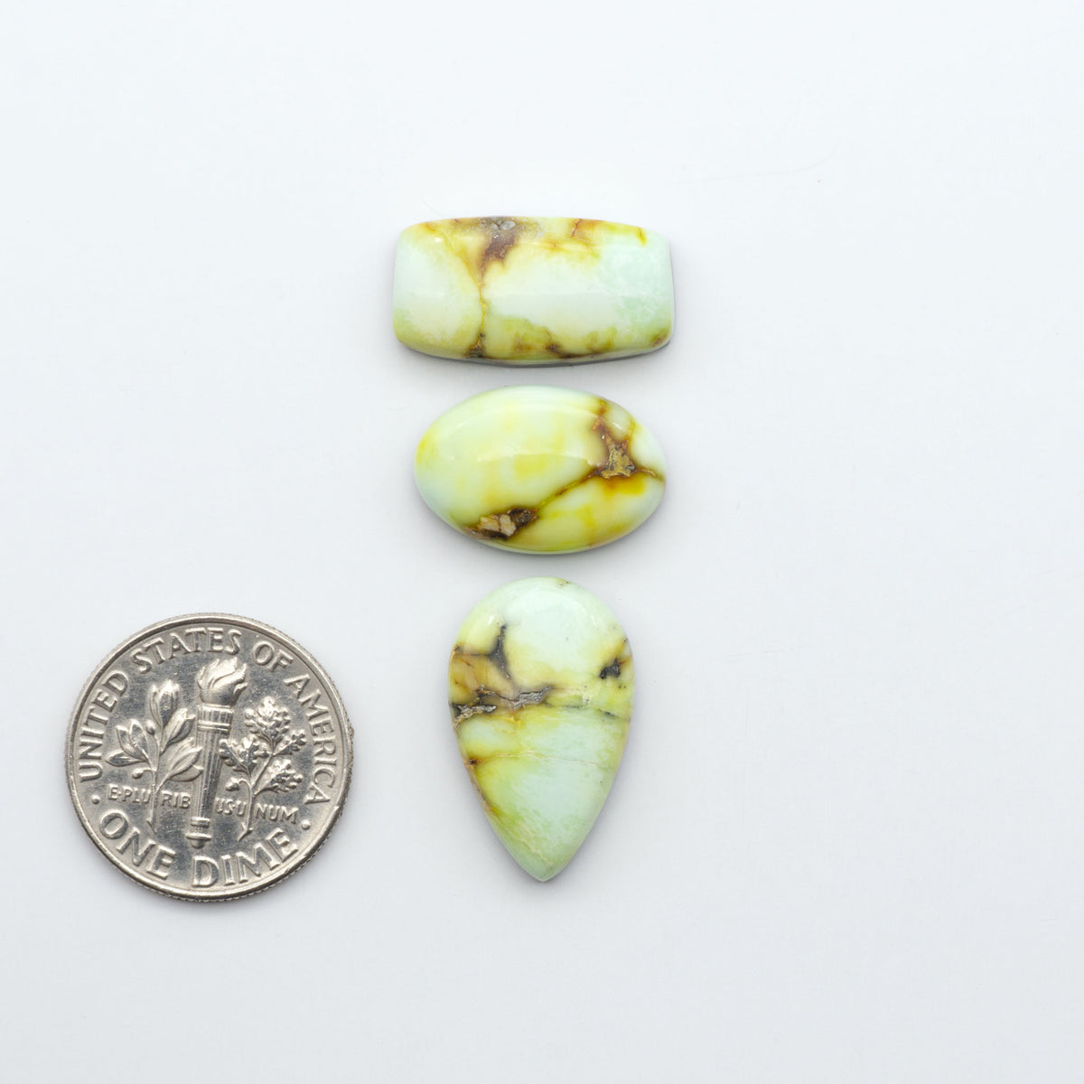 Palomino Variscite cabochons, polished yellow-green gemstones with natural matrix on a white background with a US dime for scale