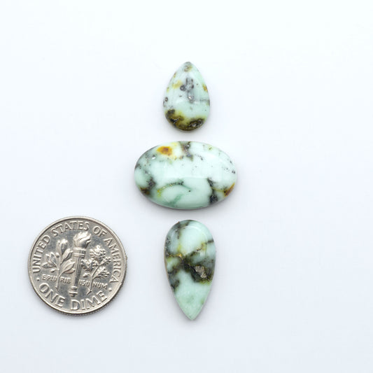 Palomino Variscite cabochons, polished yellow-green gemstones with natural matrix on a white background with a US dime for scale