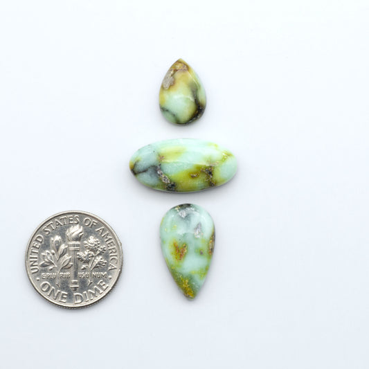 Palomino Variscite cabochons, polished yellow-green gemstones with natural matrix on a white background with a US dime for scale
