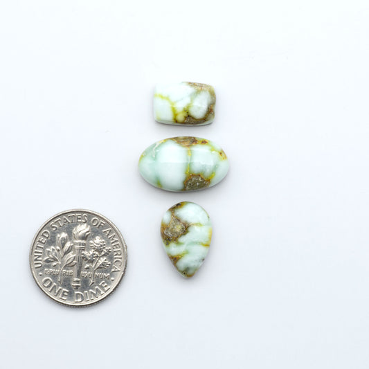 Palomino Variscite cabochons, polished yellow-green gemstones with natural matrix on a white background with a US dime for scale