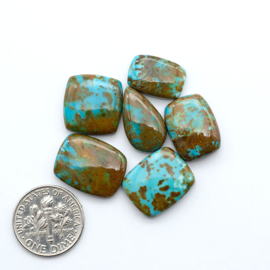 Pilot Mountain Turquoise cabochons, blue-green gemstones with natural matrix on a white background with a US dime for scale