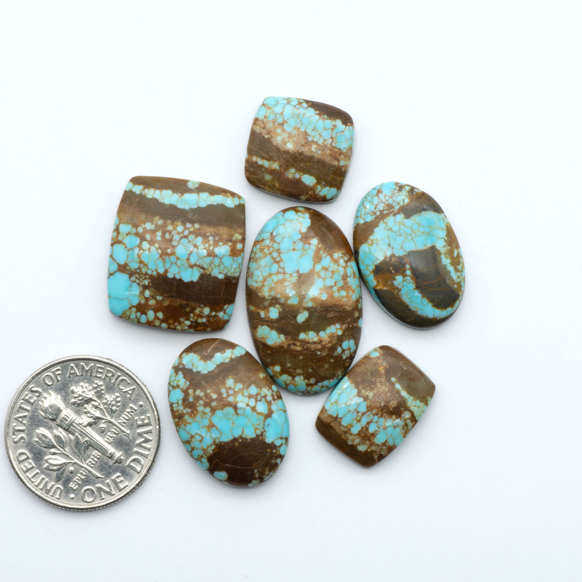 Number 8 Turquoise cabochons, blue and green color with brown matrix, polished stones on a white background, with a US dime for scale