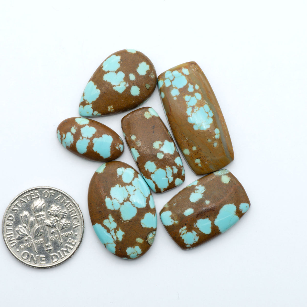 Number 8 Turquoise cabochons, blue and green color with brown matrix, polished stones on a white background, with a US dime for scale