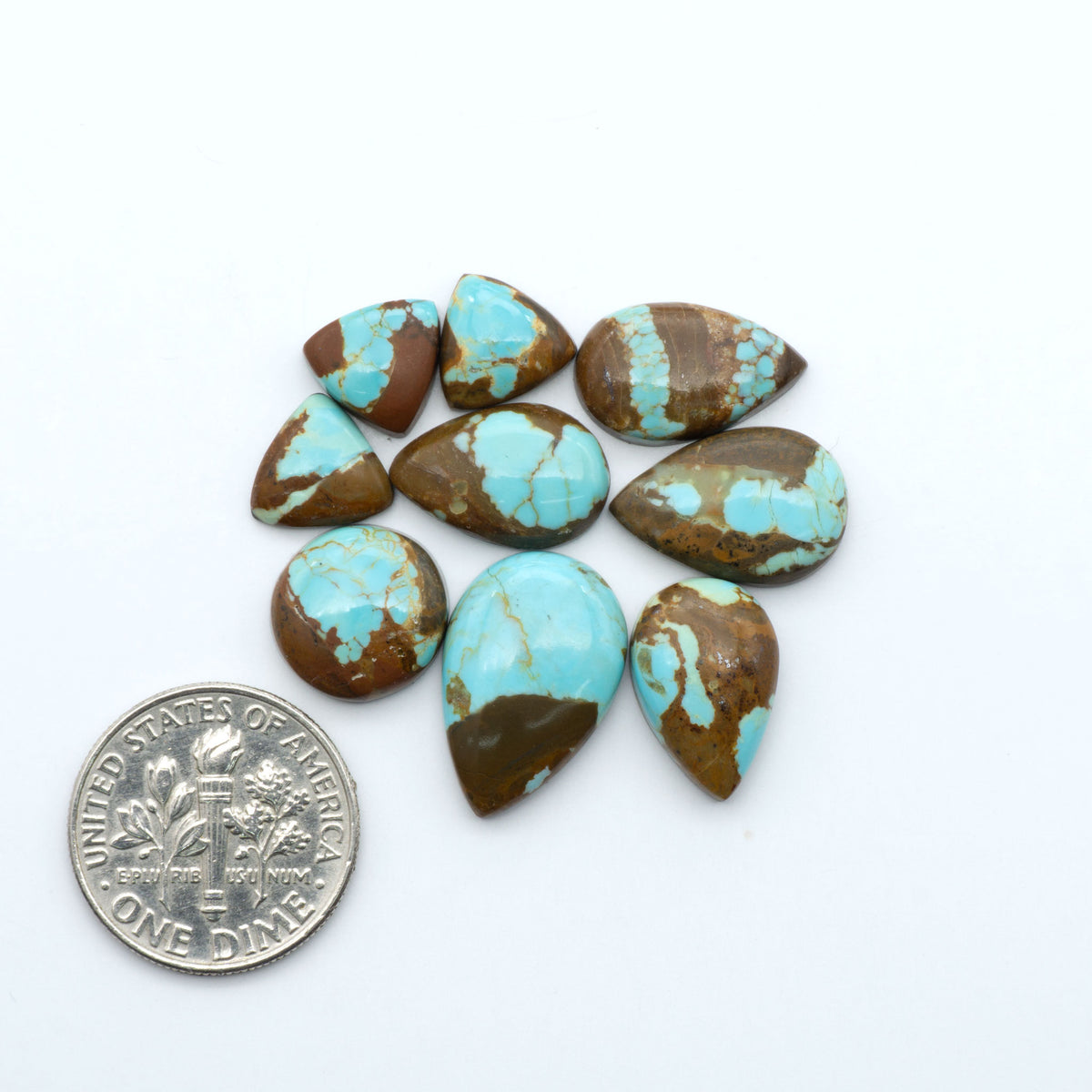 Number 8 Turquoise cabochons, blue and green color with brown matrix, polished stones on a white background, with a US dime for scale