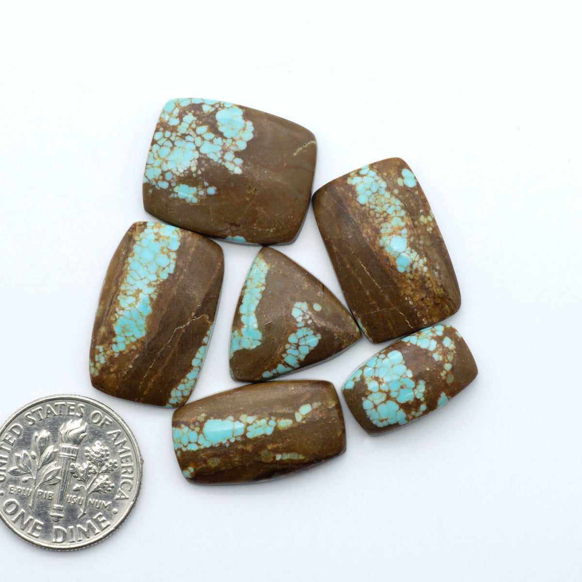 Number 8 Turquoise cabochons, blue and green color with brown matrix, polished stones on a white background, with a US dime for scale