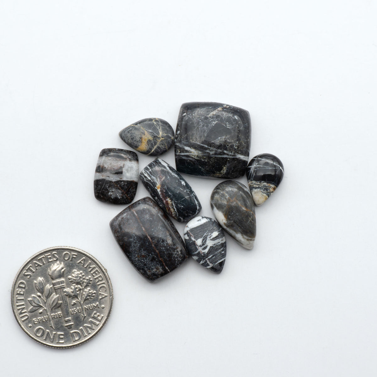 White Buffalo stone cabochons, white stone with black matrix, polished stones on a white background, with a US dime for scale