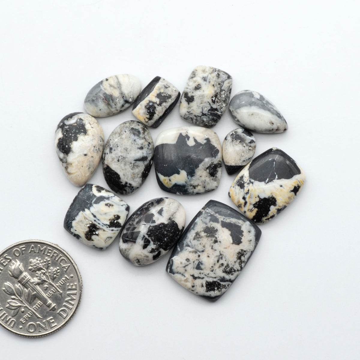 White Buffalo stone cabochons, white stone with black matrix, polished stones on a white background, with a US dime for scale