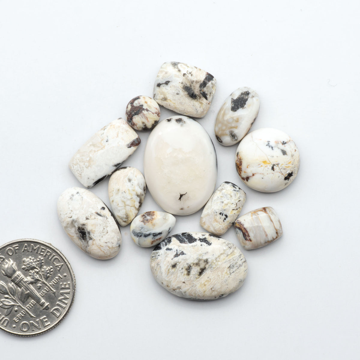 White Buffalo stone cabochons, white stone with black matrix, polished stones on a white background, with a US dime for scale