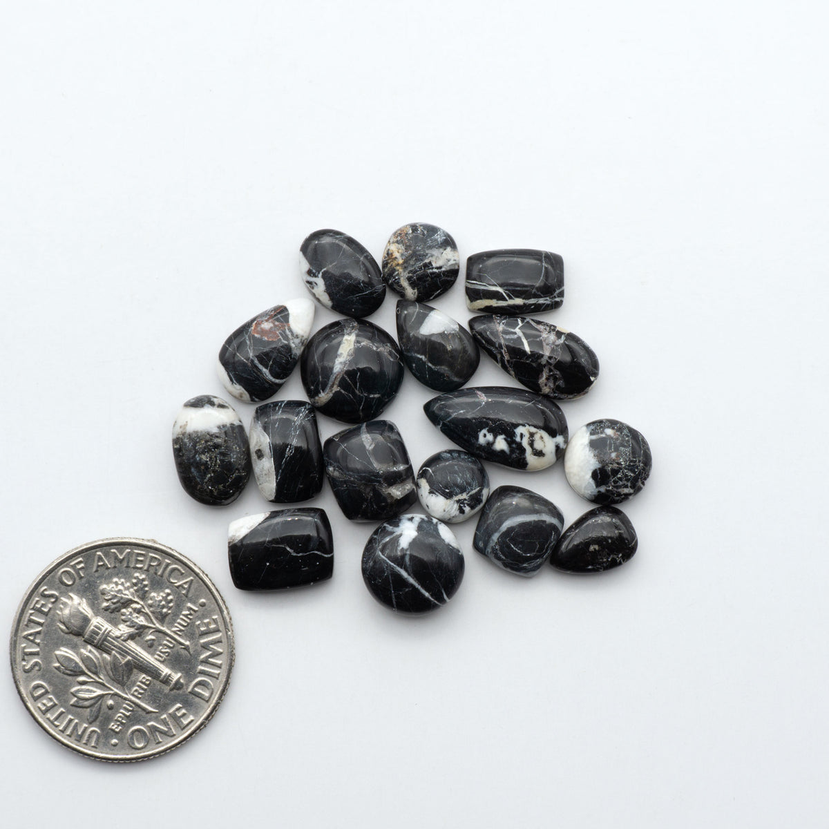 White Buffalo stone cabochons, white stone with black matrix, polished stones on a white background, with a US dime for scale