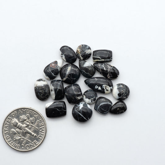 White Buffalo stone cabochons, white stone with black matrix, polished stones on a white background, with a US dime for scale