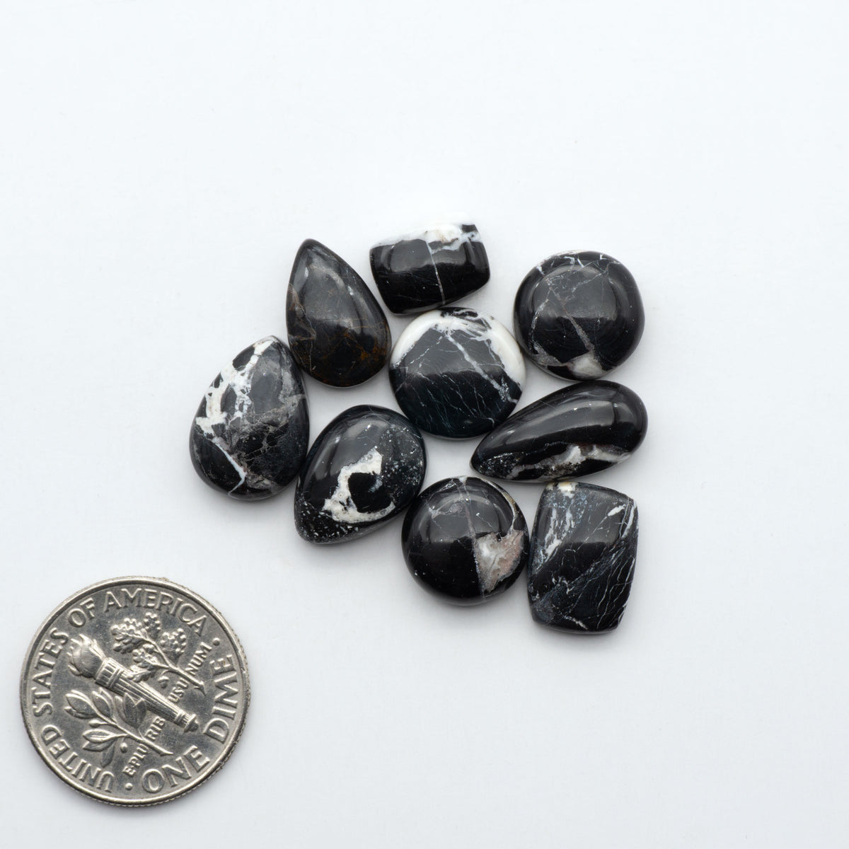 White Buffalo stone cabochons, white stone with black matrix, polished stones on a white background, with a US dime for scale