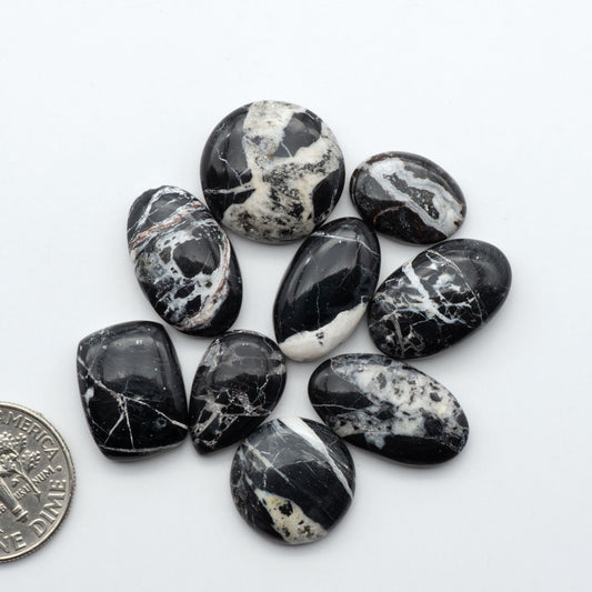 White Buffalo stone cabochons, white stone with black matrix, polished stones on a white background, with a US dime for scale