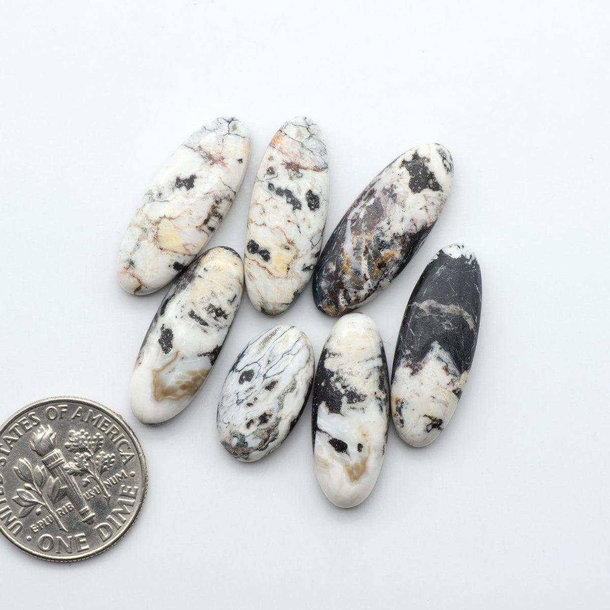 White Buffalo stone cabochons, white stone with black matrix, polished stones on a white background, with a US dime for scale