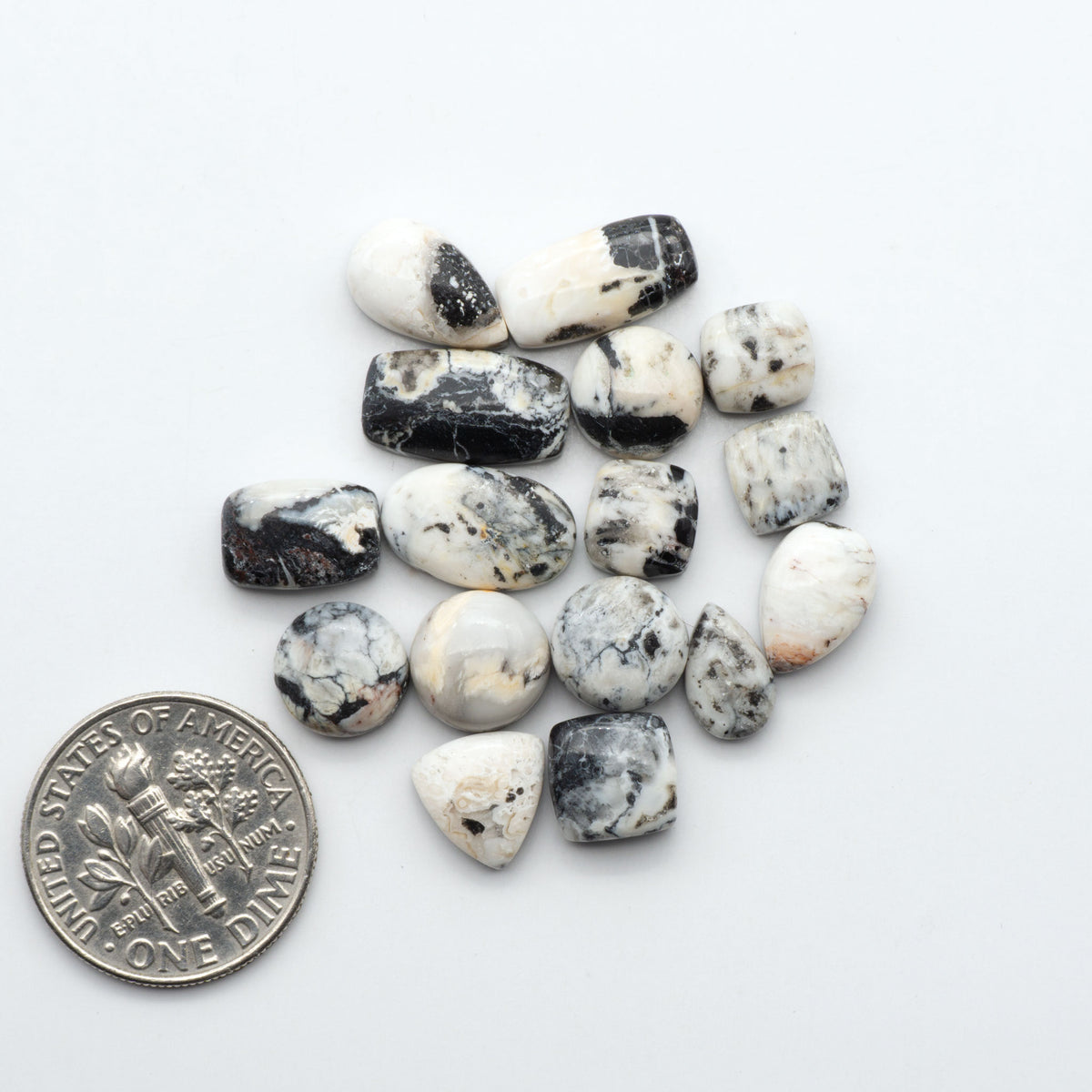 White Buffalo stone cabochons, white stone with black matrix, polished stones on a white background, with a US dime for scale