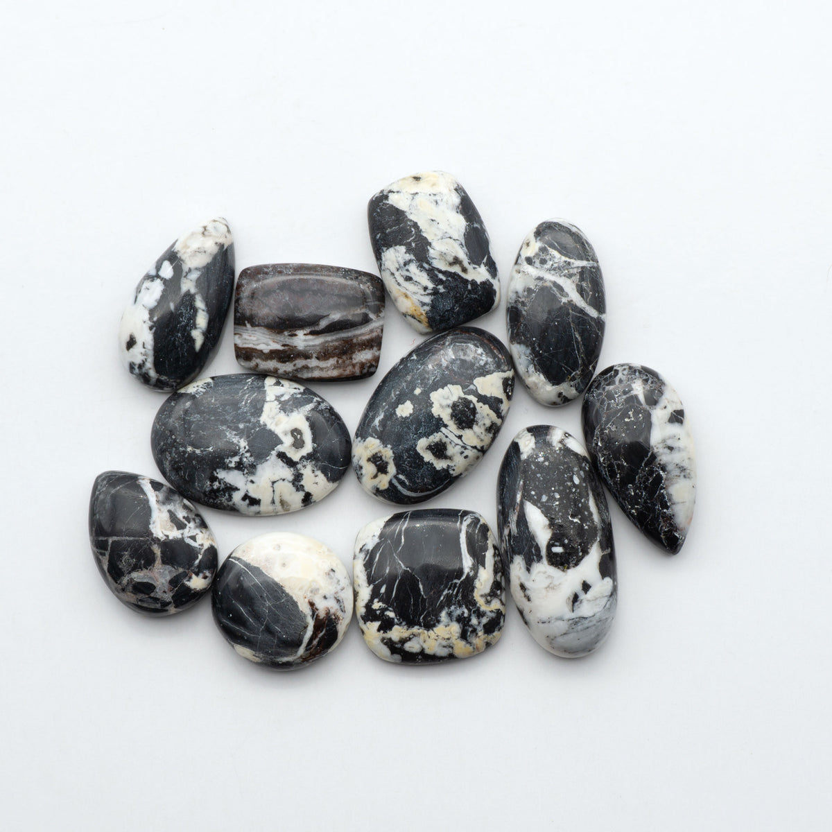 White Buffalo stone cabochons, white stone with black matrix, polished stones on a white background, with a US dime for scale