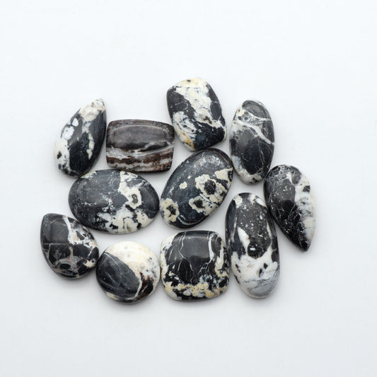 White Buffalo stone cabochons, white stone with black matrix, polished stones on a white background, with a US dime for scale