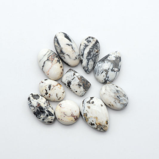 White Buffalo stone cabochons, white stone with black matrix, polished stones on a white background, with a US dime for scale