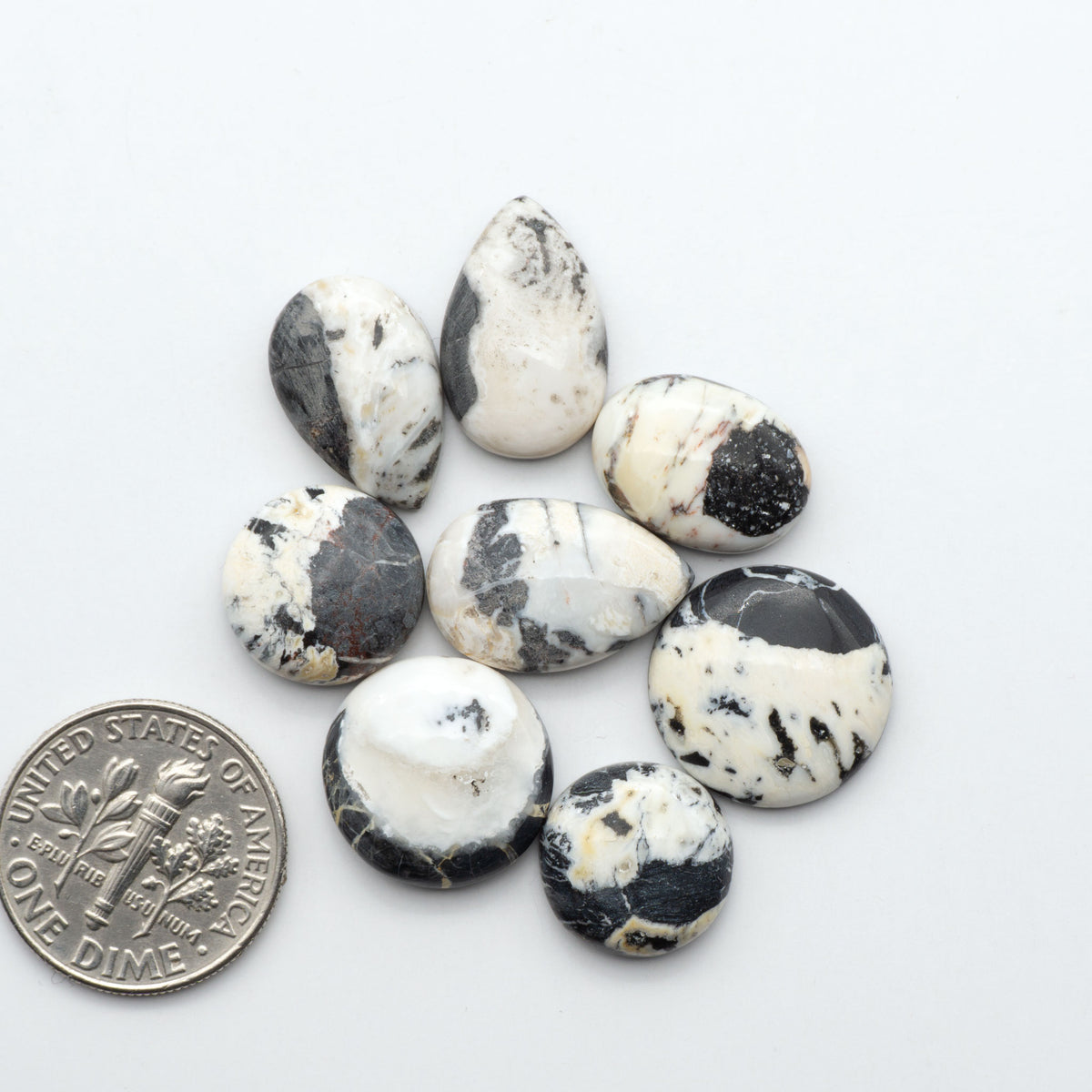 White Buffalo stone cabochons, white stone with black matrix, polished stones on a white background, with a US dime for scale