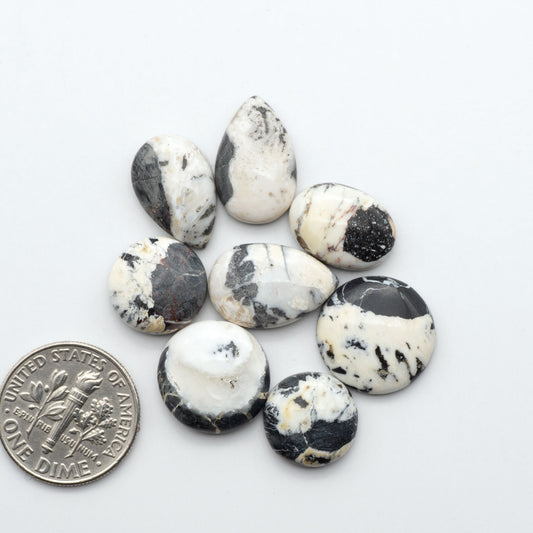 White Buffalo stone cabochons, white stone with black matrix, polished stones on a white background, with a US dime for scale