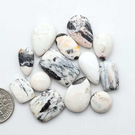 White Buffalo stone cabochons, white stone with black matrix, polished stones on a white background, with a US dime for scale