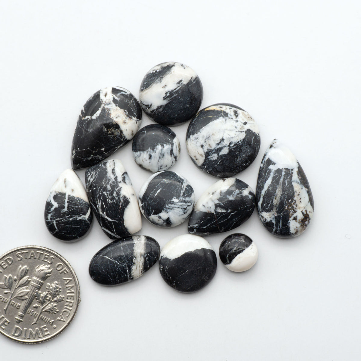 White Buffalo stone cabochons, white stone with black matrix, polished stones on a white background, with a US dime for scale