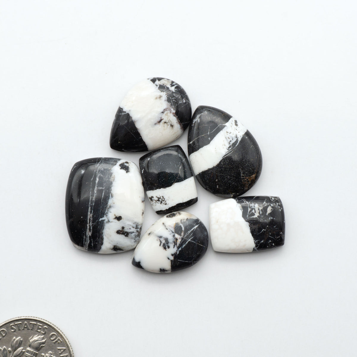 White Buffalo stone cabochons, white stone with black matrix, polished stones on a white background, with a US dime for scale