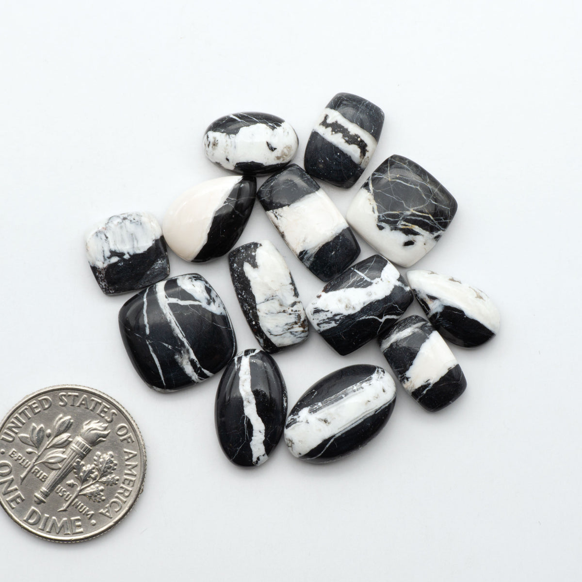 White Buffalo stone cabochons, white stone with black matrix, polished stones on a white background, with a US dime for scale