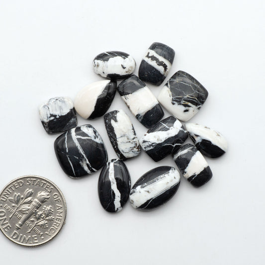 White Buffalo stone cabochons, white stone with black matrix, polished stones on a white background, with a US dime for scale
