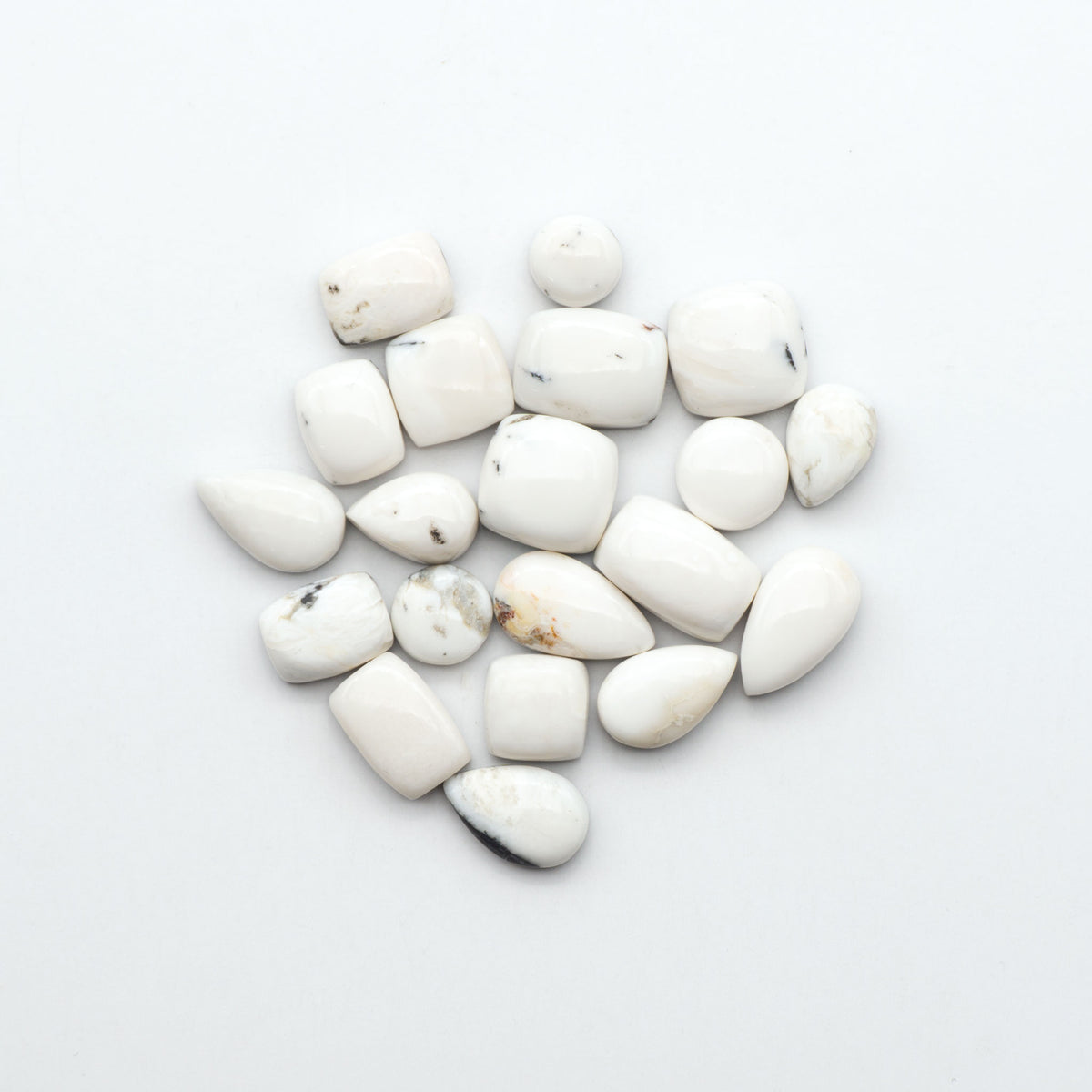 White Buffalo stone cabochons, white stone with black matrix, polished stones on a white background, with a US dime for scale