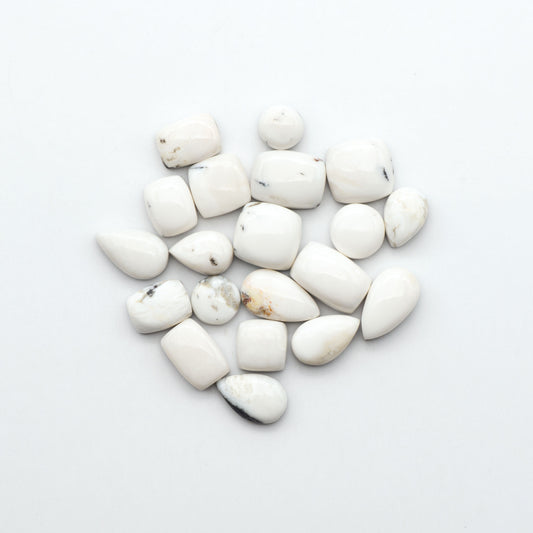 White Buffalo stone cabochons, white stone with black matrix, polished stones on a white background, with a US dime for scale