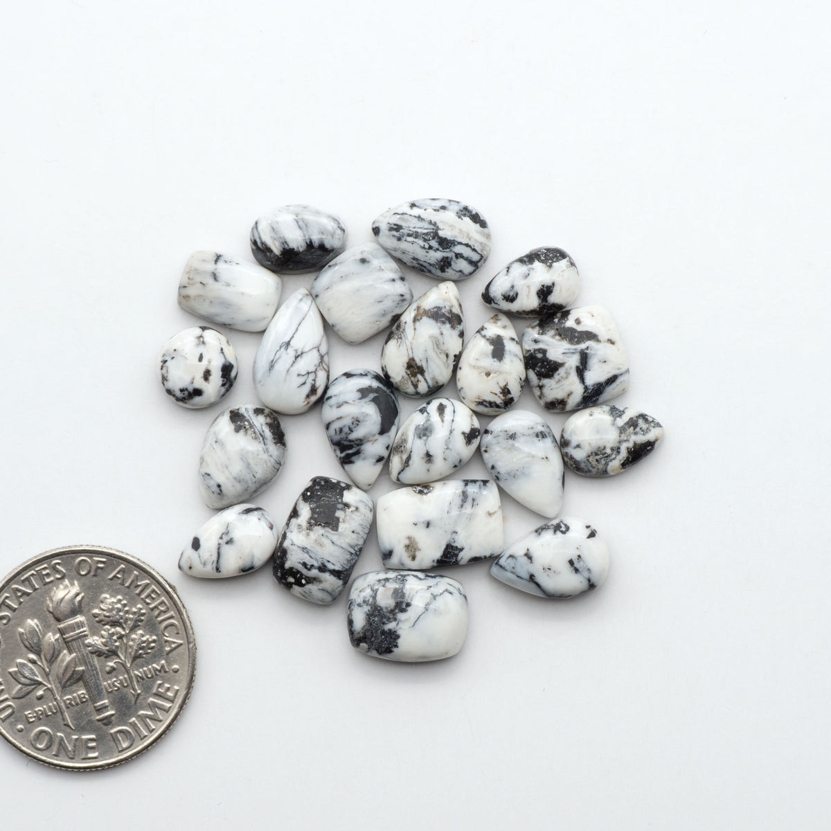White Buffalo stone cabochons, white stone with black matrix, polished stones on a white background, with a US dime for scale