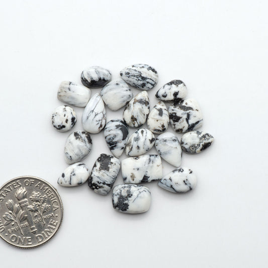 White Buffalo stone cabochons, white stone with black matrix, polished stones on a white background, with a US dime for scale