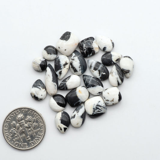 White Buffalo stone cabochons, white stone with black matrix, polished stones on a white background, with a US dime for scale
