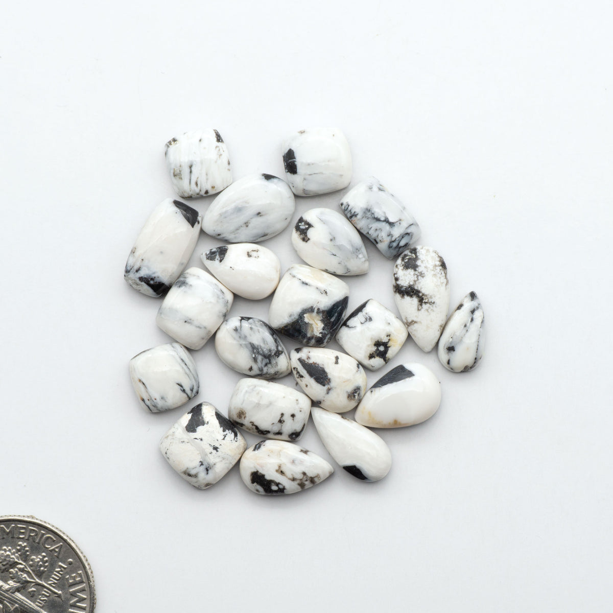 White Buffalo stone cabochons, white stone with black matrix, polished stones on a white background, with a US dime for scale