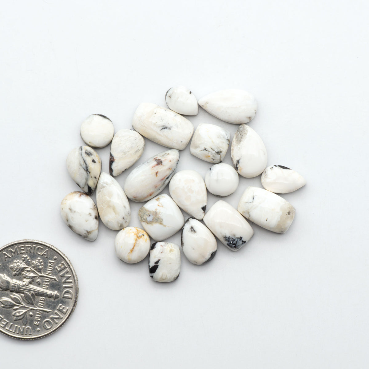 White Buffalo stone cabochons, white stone with black matrix, polished stones on a white background, with a US dime for scale