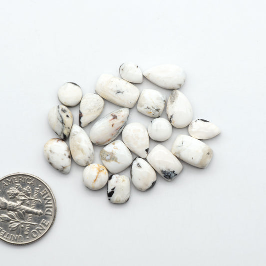 White Buffalo stone cabochons, white stone with black matrix, polished stones on a white background, with a US dime for scale