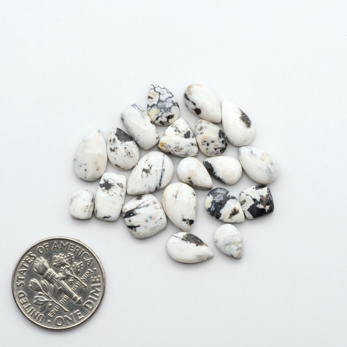 White Buffalo stone cabochons, white stone with black matrix, polished stones on a white background, with a US dime for scale