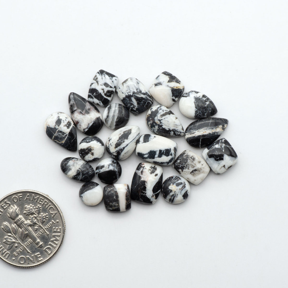 White Buffalo Stone Cabochons