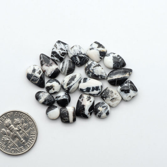 White Buffalo Stone Cabochons