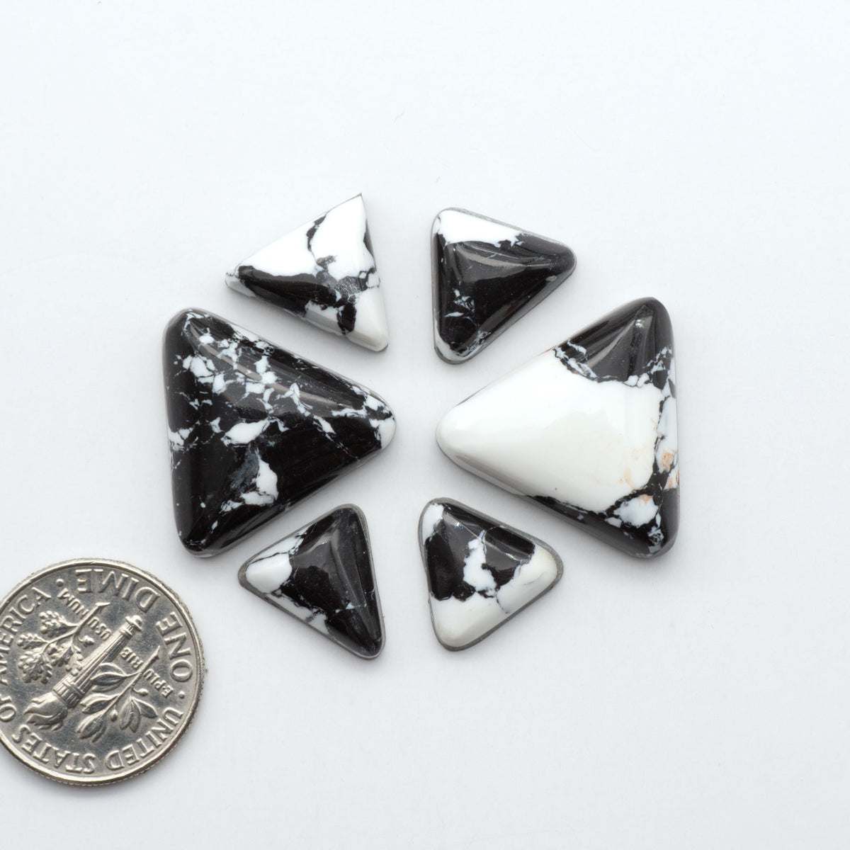 White Buffalo composite cabochons, black and white gemstones on a white background with a US dime for scale