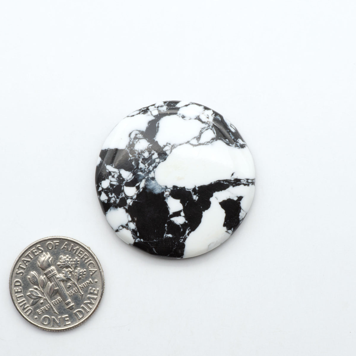 White Buffalo composite cabochons, black and white gemstones on a white background with a US dime for scale