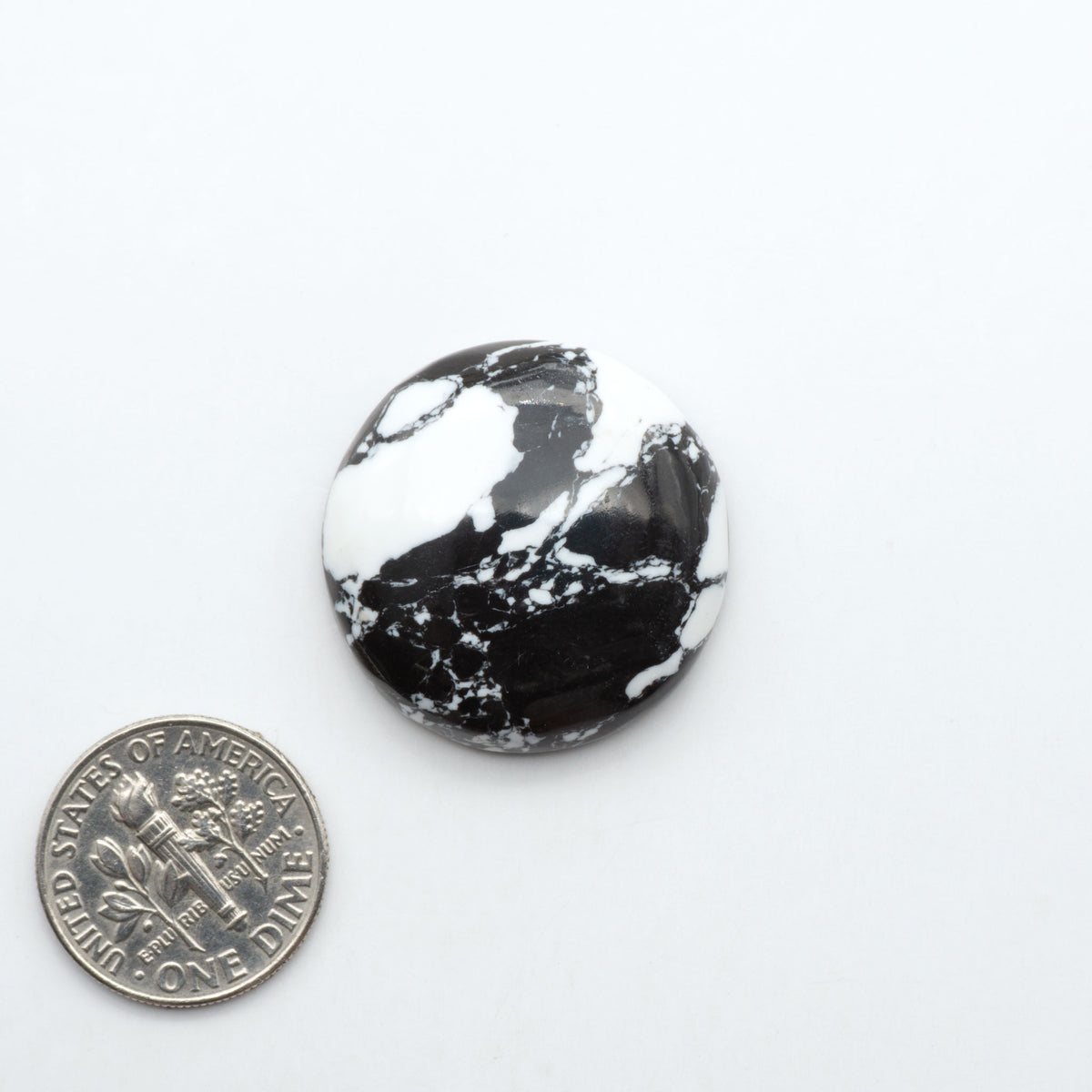 White Buffalo composite cabochons, black and white gemstones on a white background with a US dime for scale