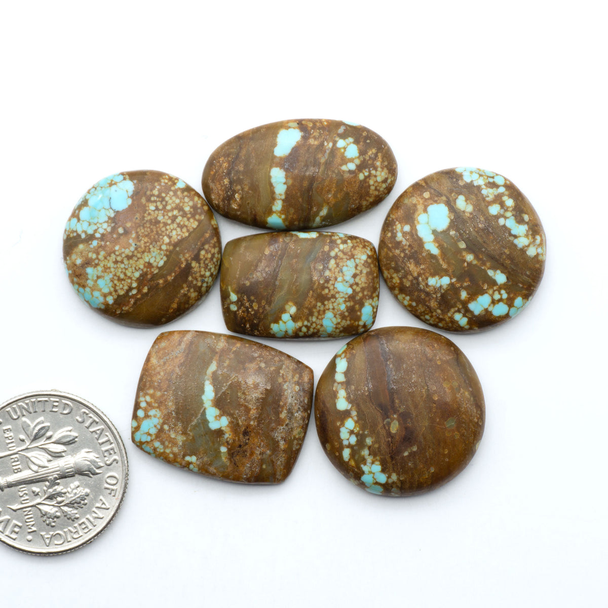 Number 8 Turquoise cabochons, blue and green color with brown matrix, polished stones on a white background, with a US dime for scale