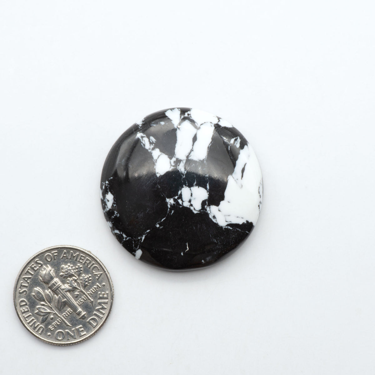 White Buffalo composite cabochons, black and white gemstones on a white background with a US dime for scale