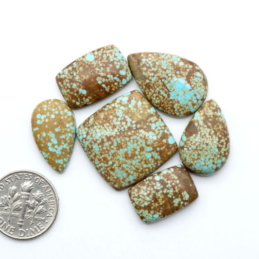 Number 8 Turquoise cabochons, blue and green color with brown matrix, polished stones on a white background, with a US dime for scale