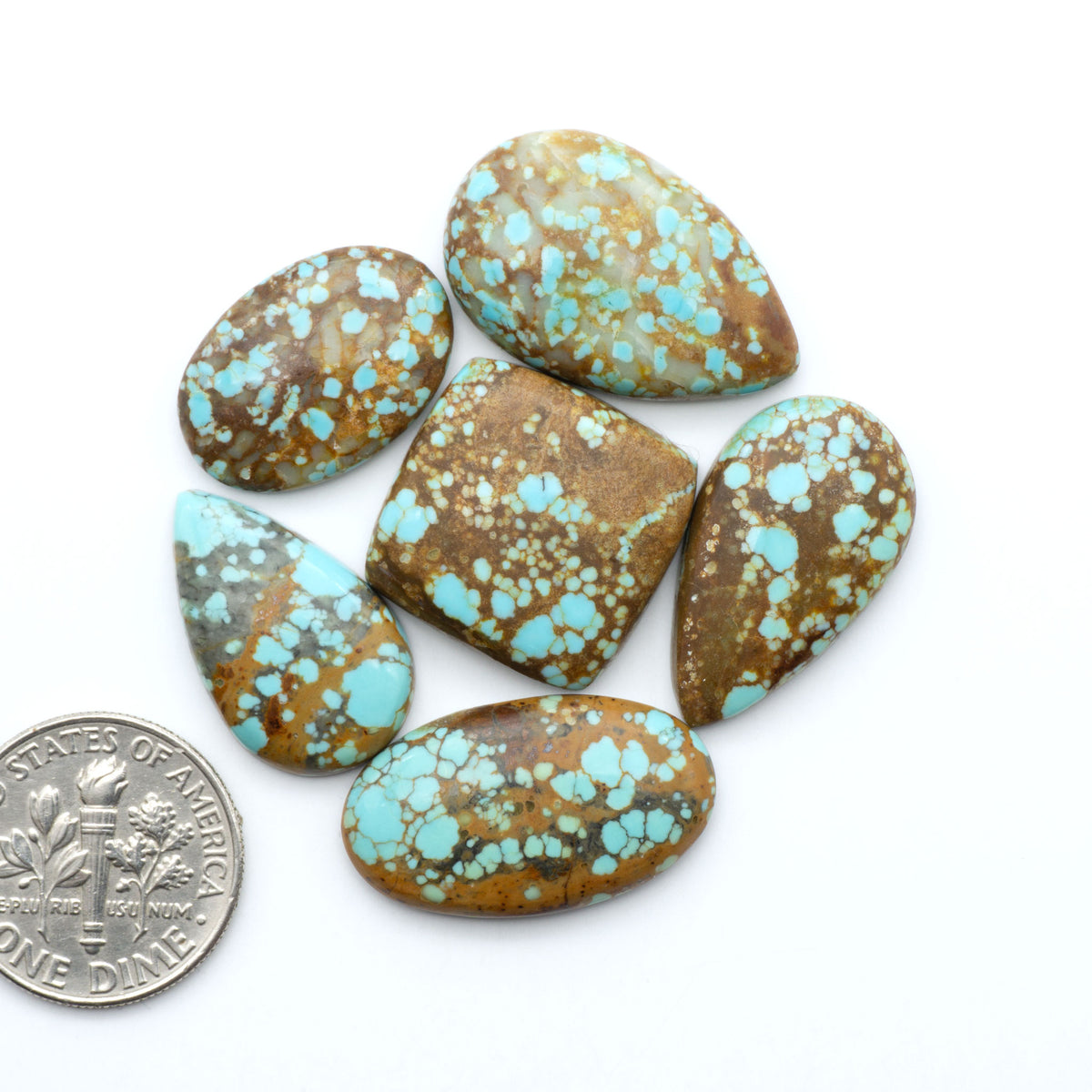 Number 8 Turquoise cabochons, blue and green color with brown matrix, polished stones on a white background, with a US dime for scale