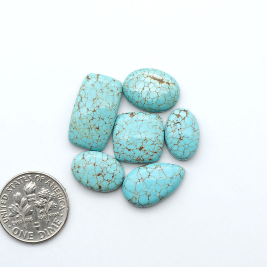 Number 8 Turquoise cabochons, blue and green color with brown matrix, polished stones on a white background, with a US dime for scale