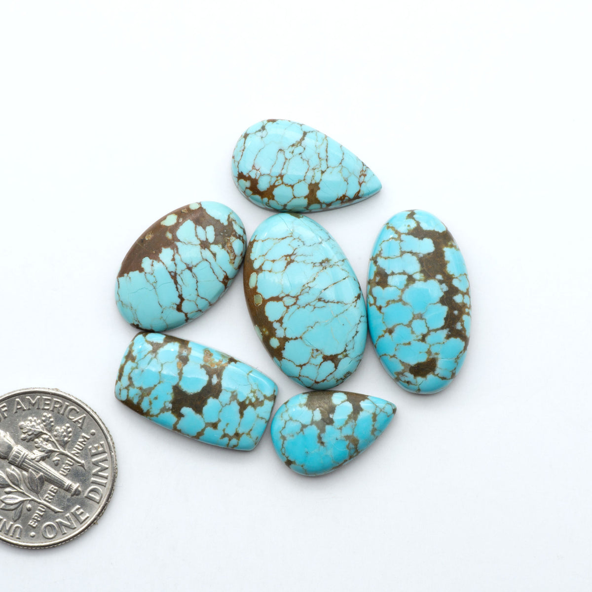 Number 8 Turquoise cabochons, blue and green color with brown matrix, polished stones on a white background, with a US dime for scale