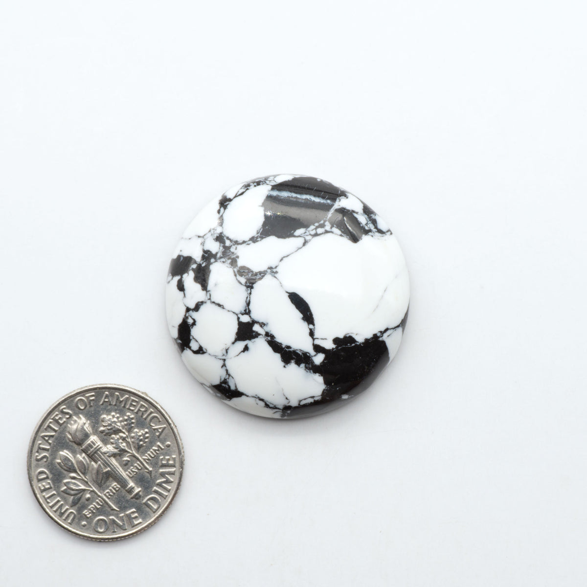 White Buffalo composite cabochons, black and white gemstones on a white background with a US dime for scale