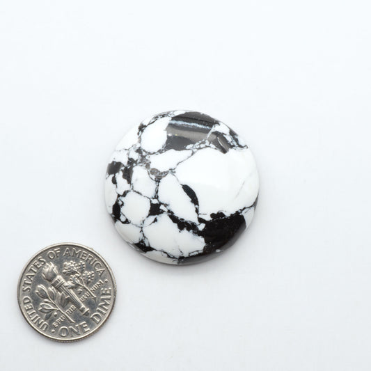 White Buffalo composite cabochons, black and white gemstones on a white background with a US dime for scale
